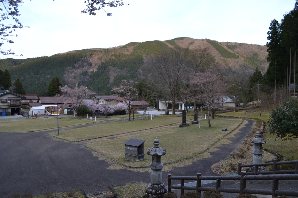 淡墨公園(根尾谷淡墨桜)の写真12