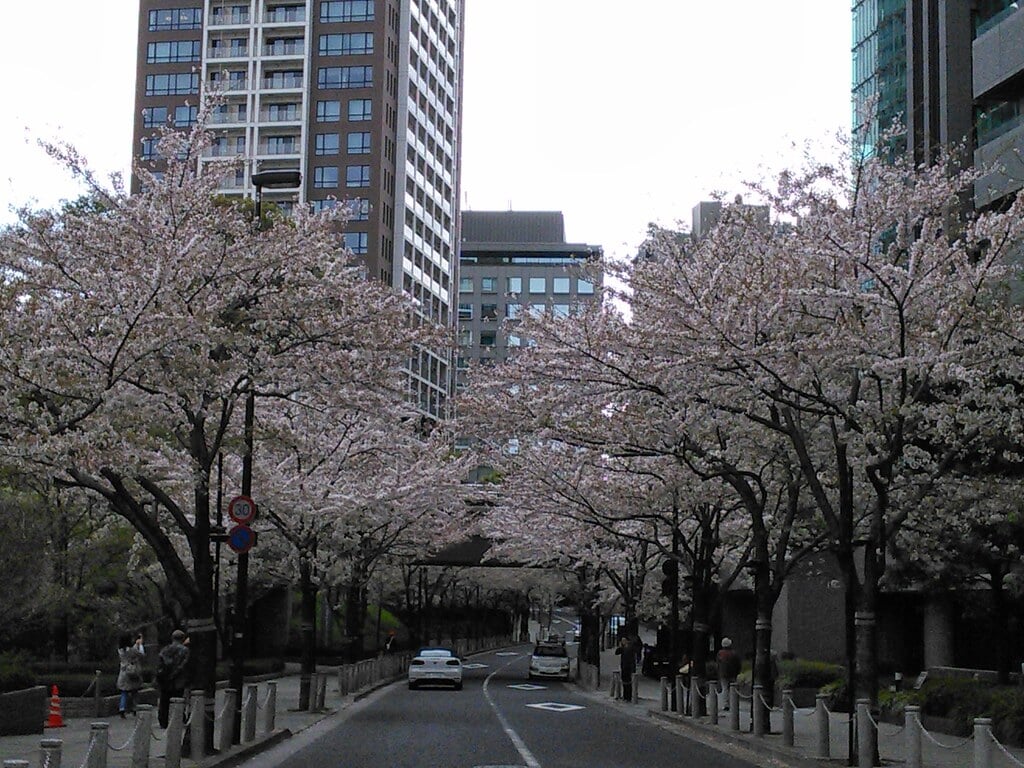 桜坂の写真3