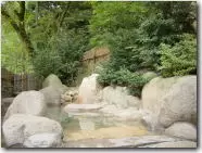 湯西川温泉 共同浴場 薬師の湯の写真1