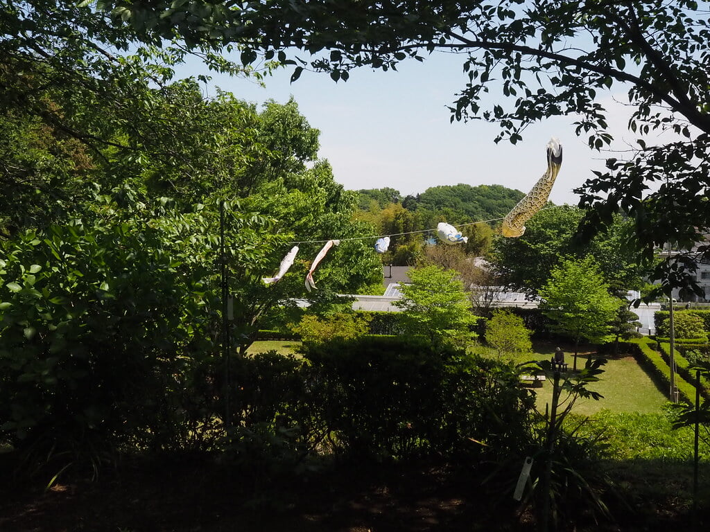 町田ぼたん園の写真9