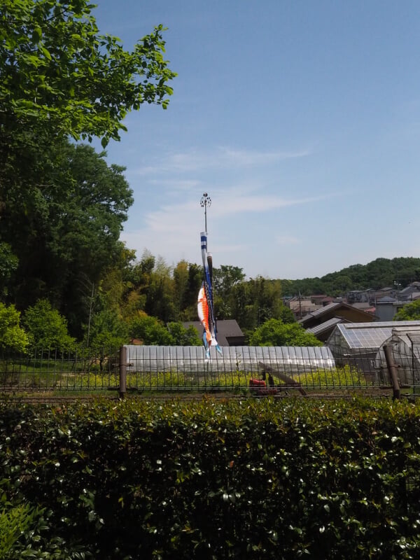 町田ぼたん園の写真11