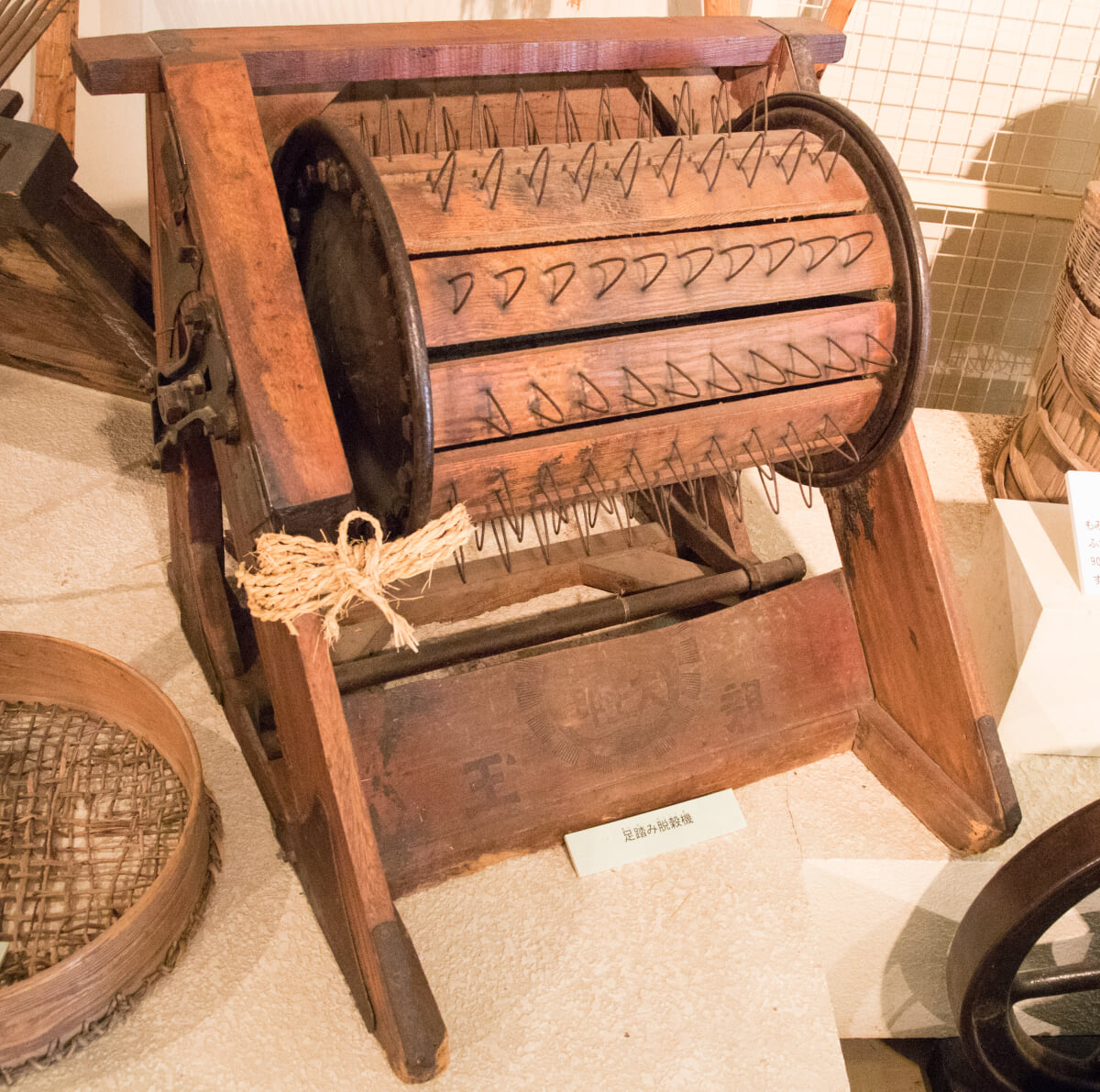 千葉県立中央博物館 大利根分館の写真2
