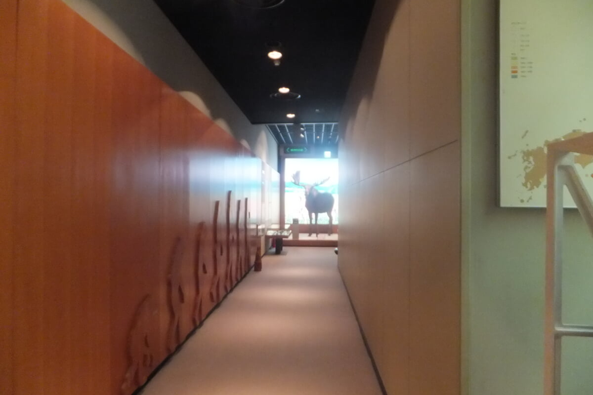 長野市立博物館の写真7