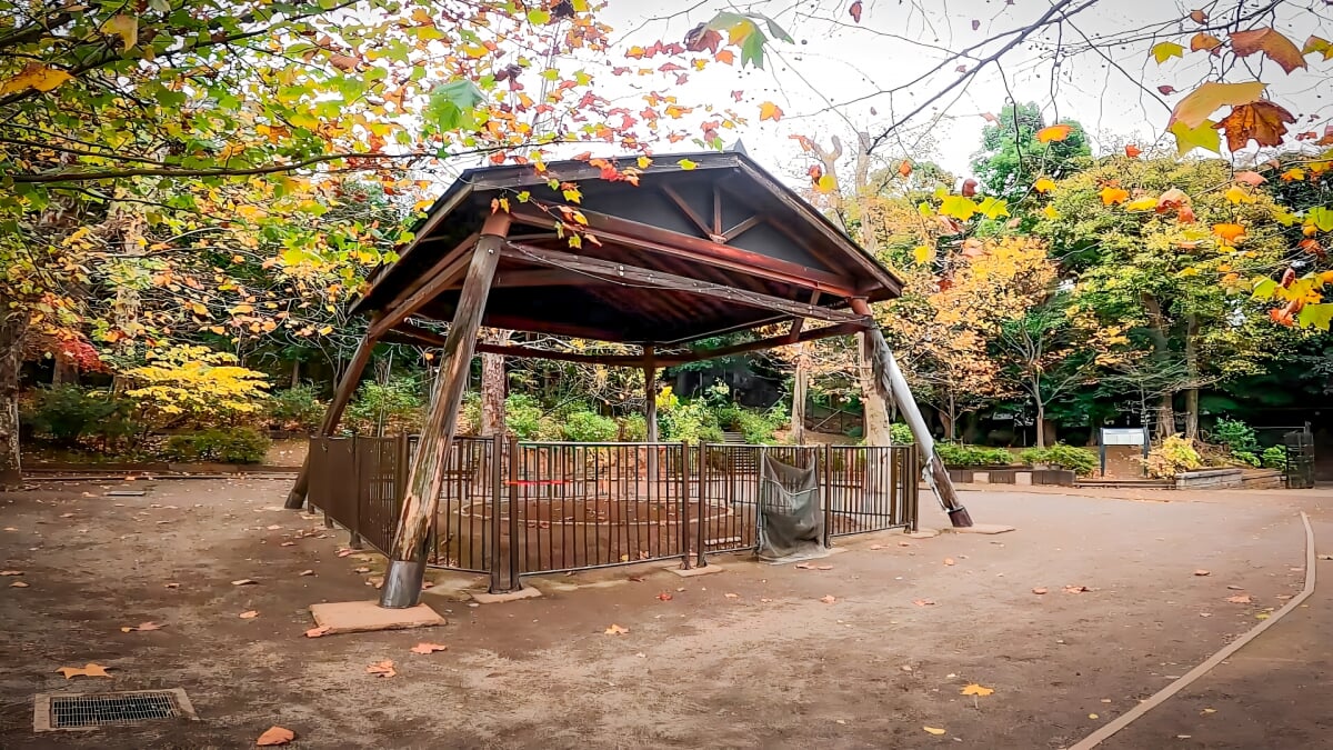 氷川の杜公園の写真2