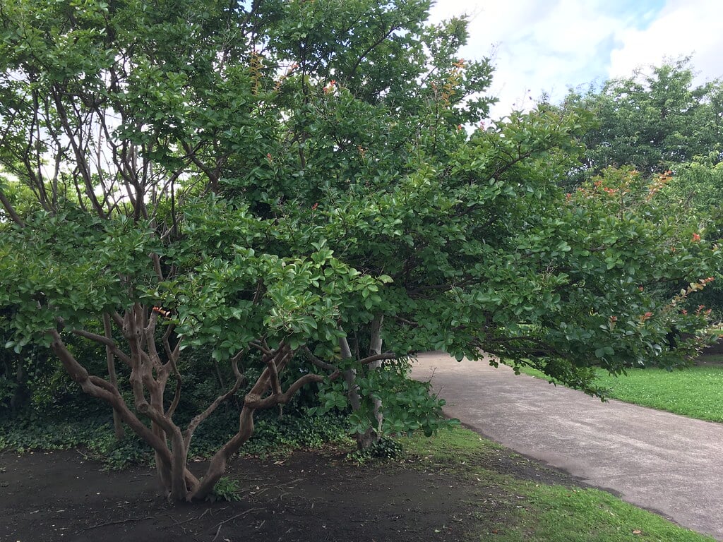 きたみふれあい広場の写真6