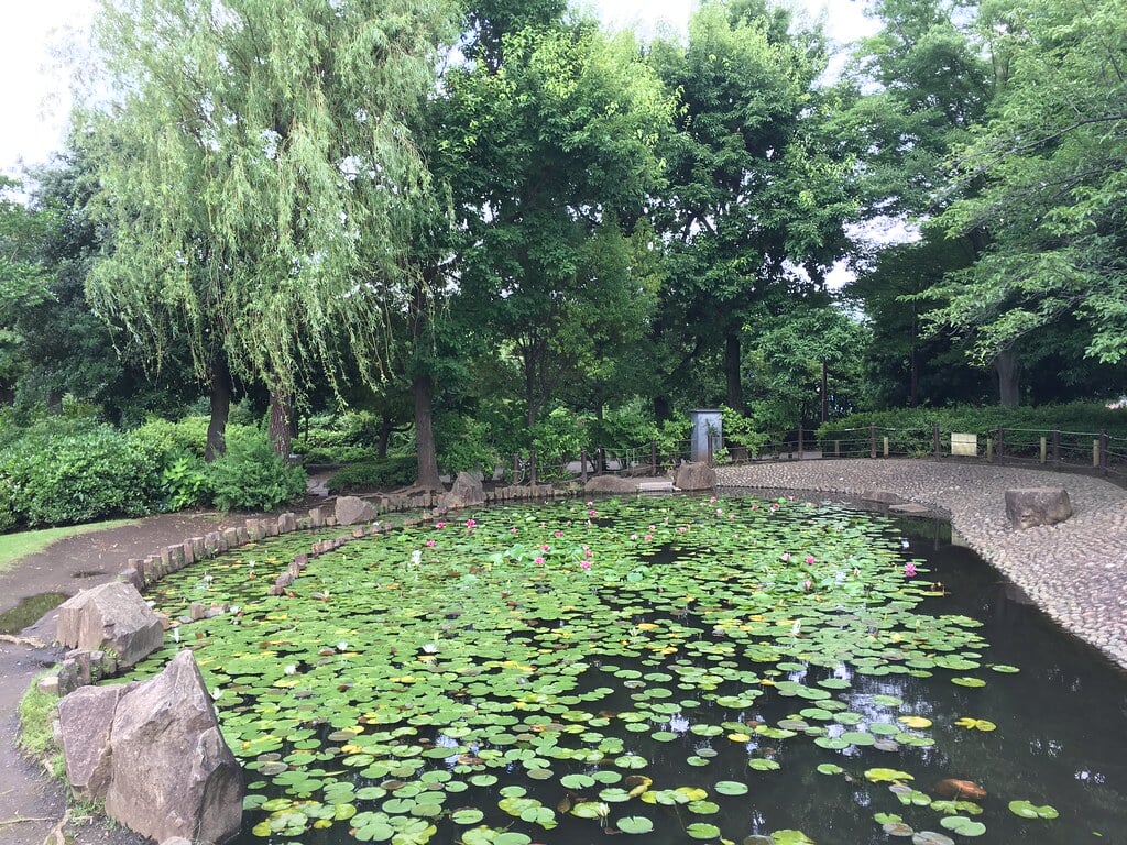 きたみふれあい広場の写真8