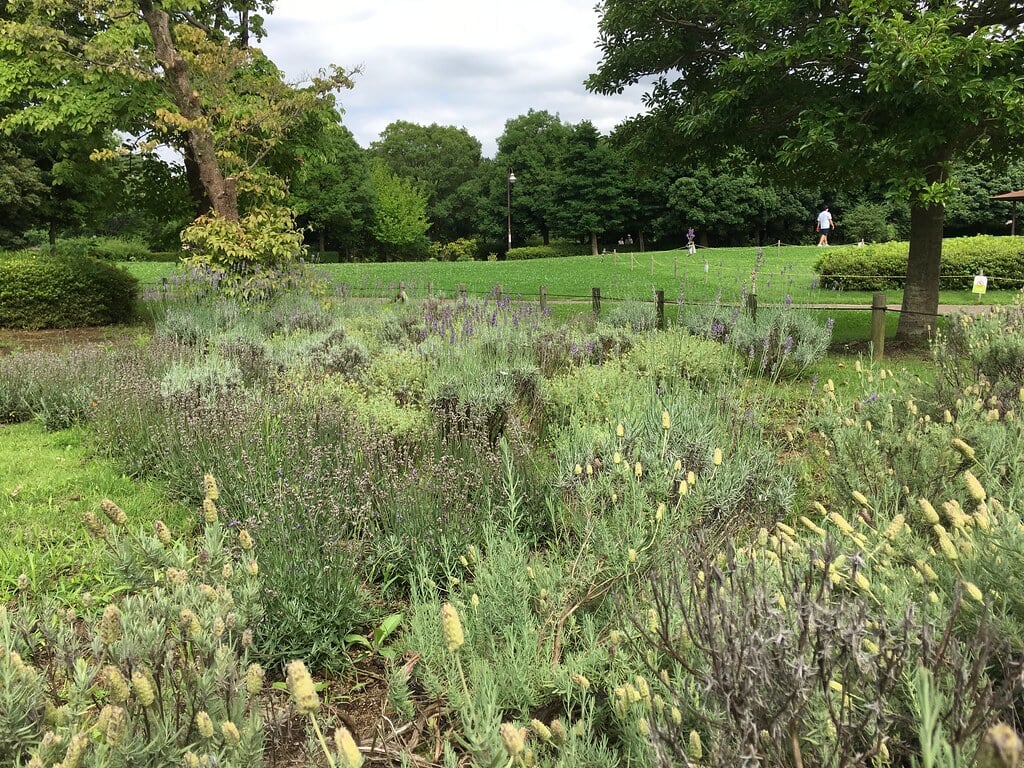 きたみふれあい広場の写真9