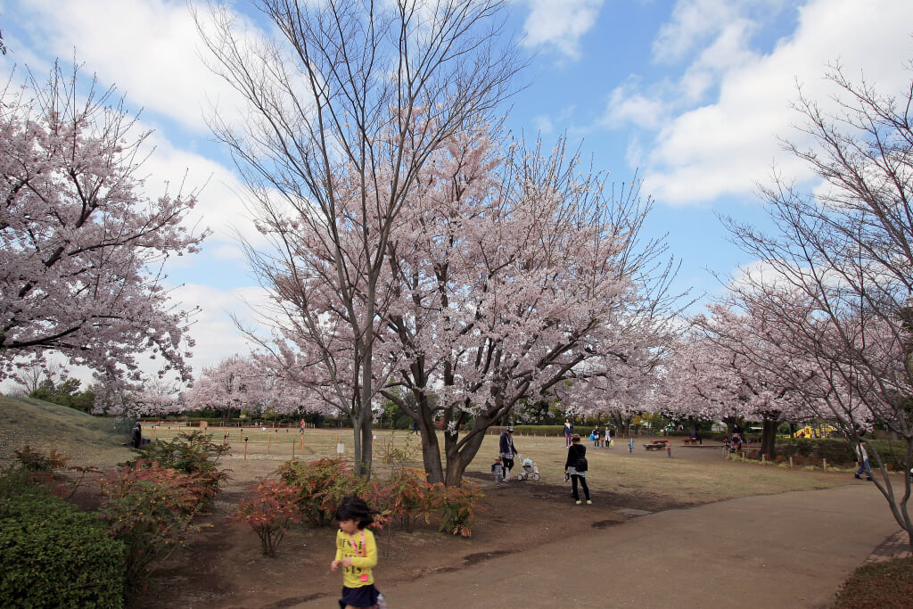 きたみふれあい広場の写真10