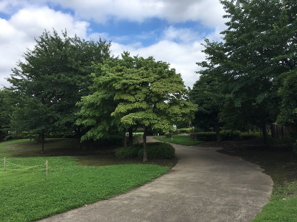 きたみふれあい広場の写真11