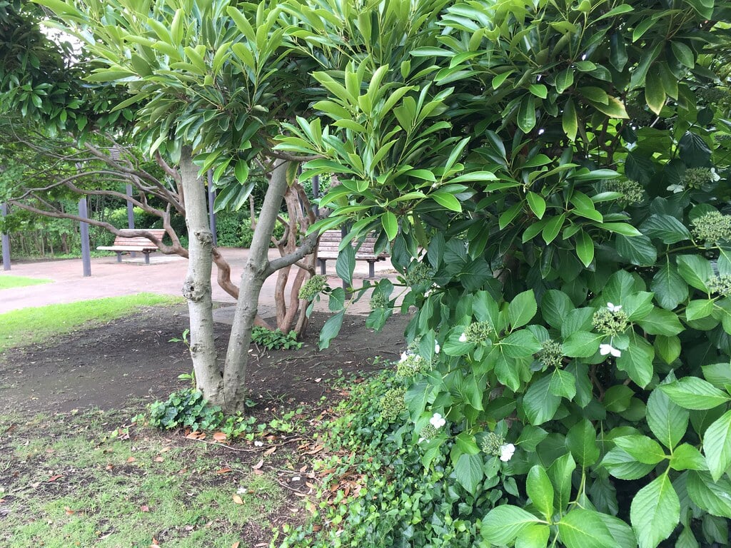 きたみふれあい広場の写真12