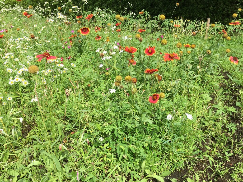 きたみふれあい広場の写真15