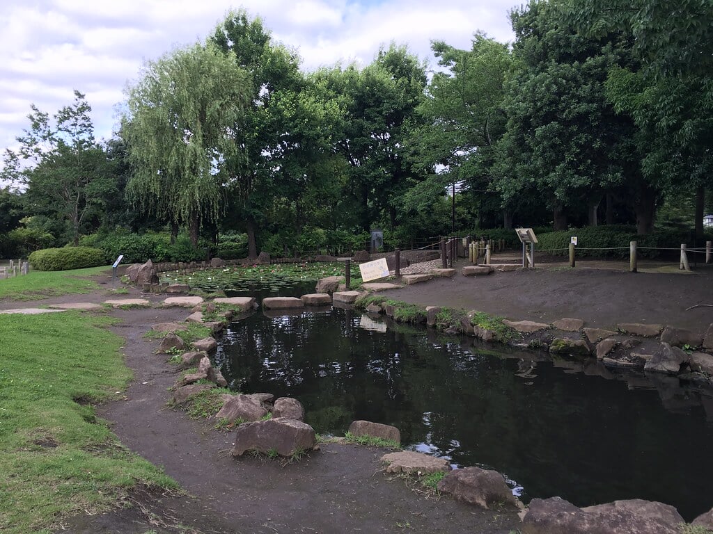 きたみふれあい広場の写真16