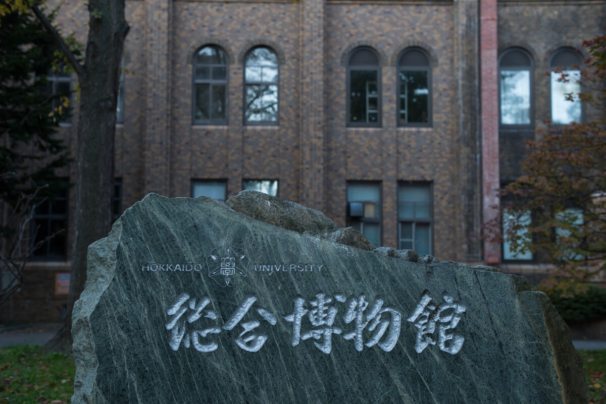 北海道大学総合博物館の写真2