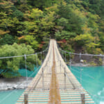 「夢の吊り橋」は朝がおすすめ！混雑・渋滞回避でインスタ映えする写真も撮り放題