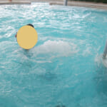 2歳の幼児と温泉プール｜ヒルトン小田原のバーデゾーン(プール)