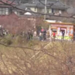 【2026年】伊豆-河津桜の開花状況と河津桜まつりの混雑情報・駐車場など