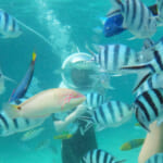 【グアム】子供とマリンアクティビティ、初心者OKのおすすめスヌーバダイビング