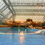 たった 500円で東京サマーランドを楽しめる裏技