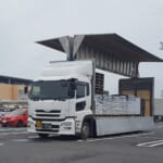 【2026年】千葉県内の超巨大な大型ホームセンター上位４店舗まとめ