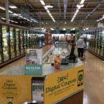 アメリカで日本発行のクレジットカードが使えなかった件