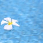 大磯ロングビーチを割引で半額にする裏技【期間限定】