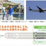 【泣いても大丈夫】赤ちゃん歓迎の沖縄旅行をANAが販売！「赤ちゃんごきげん沖縄の旅3日間」