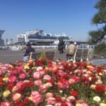60万本の花が咲き誇る「ガーデンネックレス横浜2019」がいよいよ開催