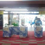 東京サマーランドに持ち込める物まとめ。テント/クーラーボックス