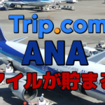 Trip.comの予約でANAのマイルと二重取りが可能に