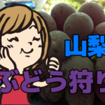 山梨の中込農園でブドウ狩り…3歳じゃちょっと届かないけど大喜び