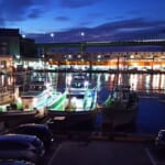 小田原漁港の駐車場は無料、臨時の場所と休日の混雑＆分かり辛い