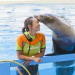 伊豆・三津シーパラダイスが臨時休館期間を5月末まで延長