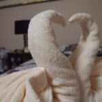 自粛中でもリゾートホテル気分！Hotels.comがベッドメイキングチャレンジを開催