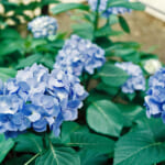 梅雨のお出かけに！千葉で雨の日に子供が喜ぶお出かけスポット