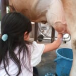 愛知・名古屋の雨の日に行きたい屋内スポット12選｜子どもが喜ぶ遊び＆学び