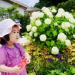 梅雨のお出かけに！神奈川で雨の日に子供が喜ぶお出かけスポット