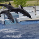 京都、雨の日おでかけ｜梅雨でも子連れで楽しめる屋内レジャー10選