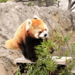 神奈川は沢山！動物と触れ合える意外と知らないお出かけスポット５選