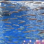 宮城の雨の日おでかけ｜梅雨でも子連れで楽しめる屋内レジャー10選