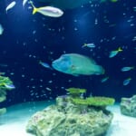 梅雨におすすめ、福岡県で子供が喜ぶレジャースポット10選