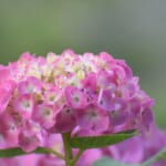 梅雨のお出かけ、埼玉で雨の日に子供が喜ぶレジャースポット