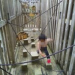 関東近郊の忍者アスレチック「忍びの掟」が子供に大好評