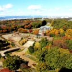 相模原で紅葉の名所と言えばココ、赤と黄色の絶景8選