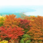 箱根で紅葉を見るならココ、定番を避けた穴場スポットのまとめ