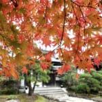 鎌倉で紅葉を楽しめる定番＆隠れたスポット総まとめ12選