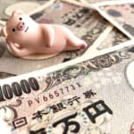 【速報】再開のGoToトラベルで錬金術が発見される。旅行せずに家電購入も...