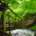 「第7弾：GoTo秘境三好市トラベルキャンペーン」概要と予約/利用方法