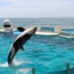 宿泊代5,000円割引＆商品券5,000円分！誰でも使える千葉県の「鴨川元気キャンペーン」