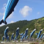 「泊まってお得!!くろしお体験クーポン」概要と予約/利用方法