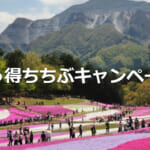 「行っ得ちちぶキャンペーン」概要と予約/利用方法